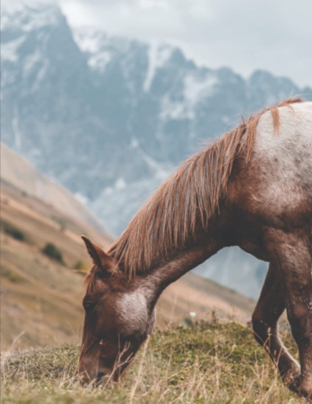 Horse Journal, Planner, Diary, Notebook. 8.5” x 11”, Matte finish, 100 pages. Give the perfect gift for someone that has everything.