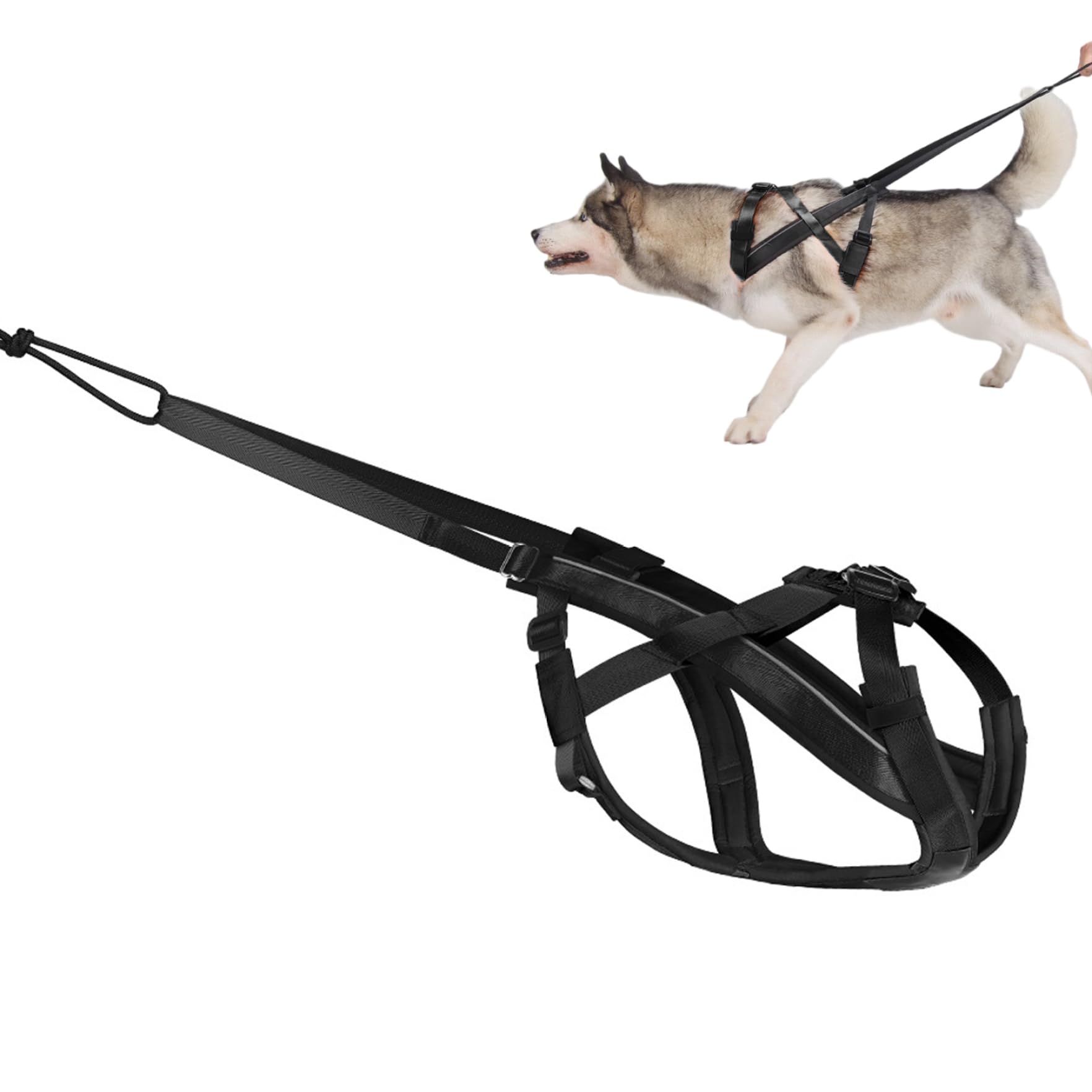 Harnais canicross pour chien idéal pour la traction de poids et le sport