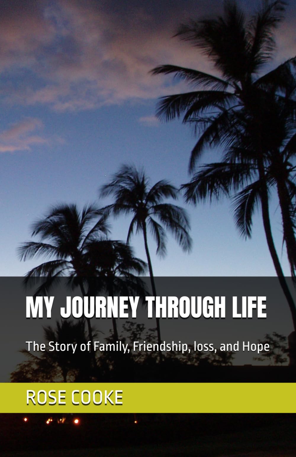 MY JOURNEY THROUGH LIFE: The Story of Family, Friendship, loss, and Hope