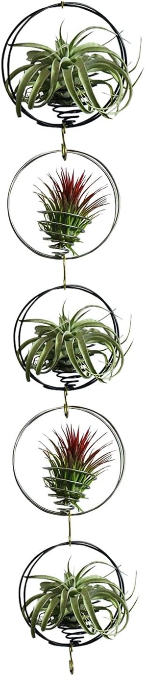 Air Plant Hanging Holder Planter - Plant Hanger Display Frame DIY Kit Aluminum Wire Indoors Outdoors Plants Not Included (Black)