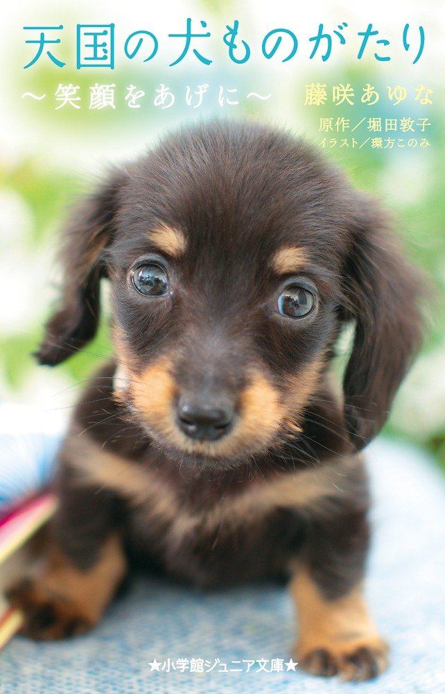Amazon.co.jp: 天国の犬ものがたり~笑顔をあげに~ (小学館ジュニア文庫