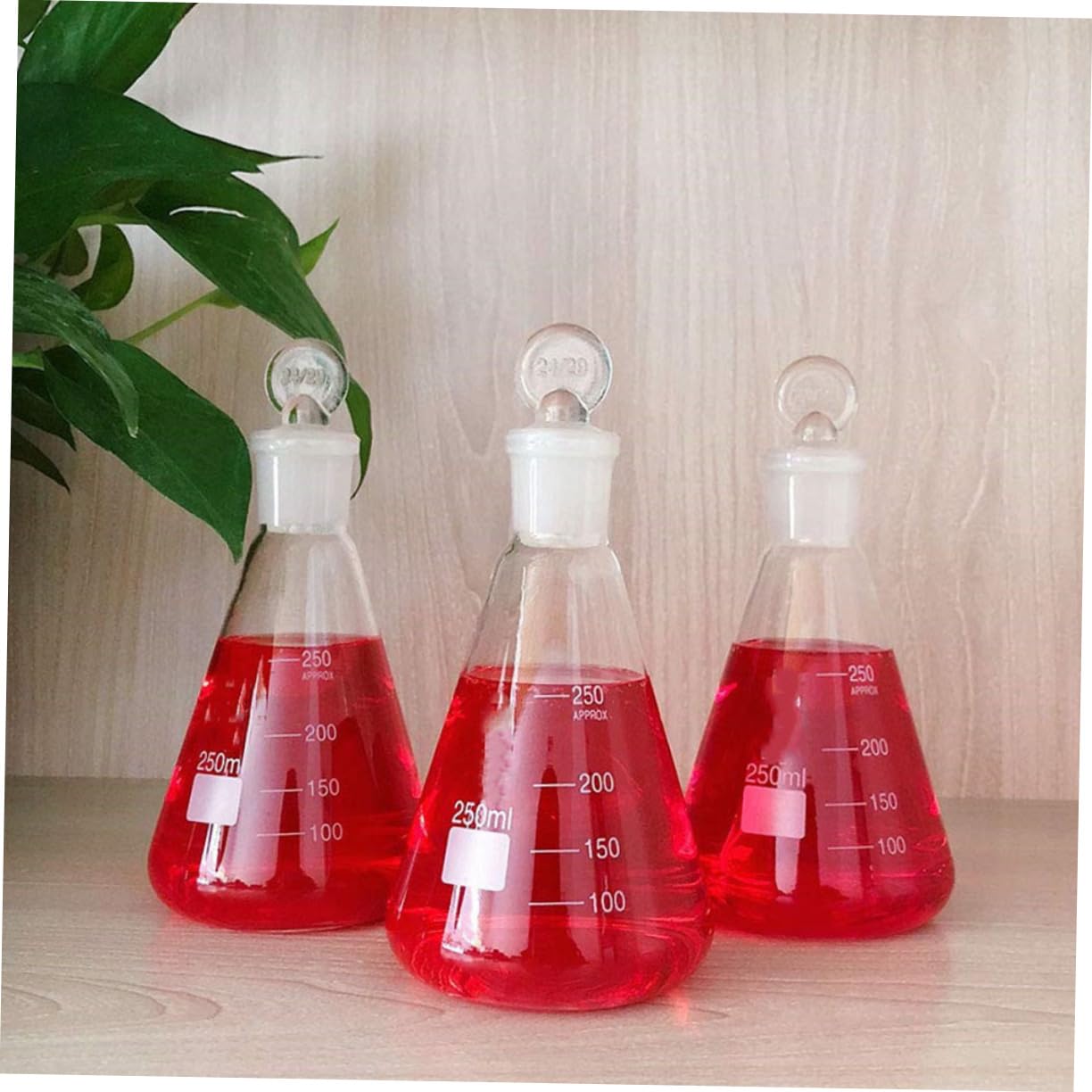3 Uds Matraz Erlenmeyer Matraces Cónicos De Borosilicato Matraz De Laboratorio Matraz Cónico De Laboratorio Matraz Cónico Engrosado Laboratorio De Química Matraces De Ebullición