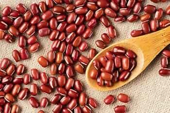 Amazon.co.jp: 豆力 契約栽培十勝産 小豆 10Kg : 食品・飲料・お酒