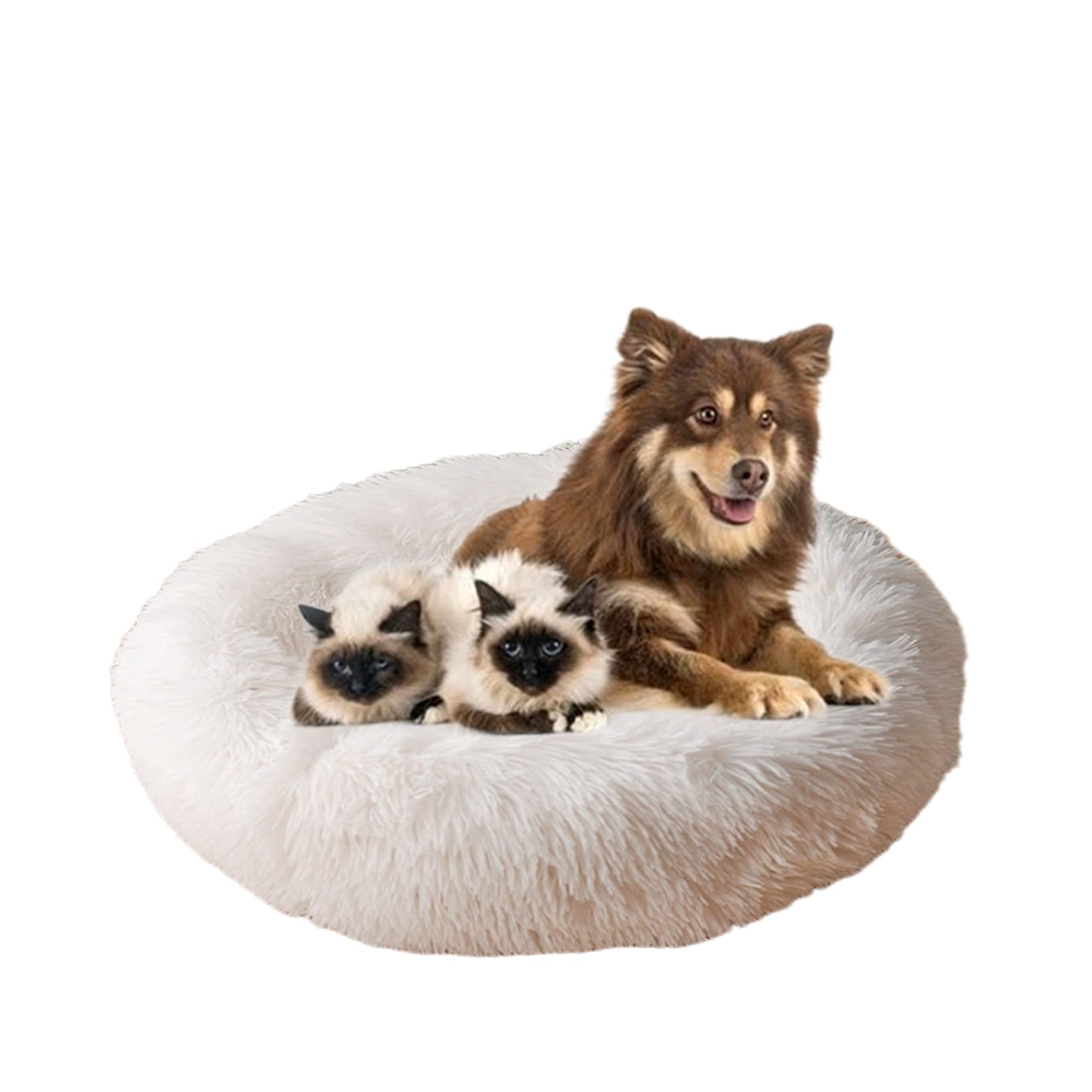 ZOCIS Calming Dog Cat Bed Round Pet Bed Donut Cuddler Puppy Pillows
