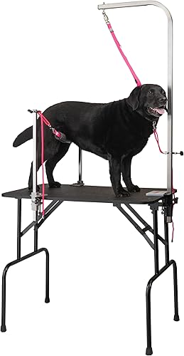 Miniatura 5 de Groomers Helper Juego profesional con abrazaderas laterales universales la mejor herramienta de aseo para perros