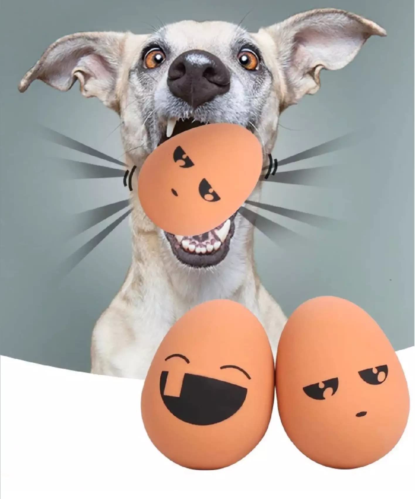 PETS EMPIRE Random Emoji Egg Shaped Rubber Bouncing Balls Chewing Playing Toy for Pet -2 Piece (B09Q3FZT2N) Amazon Price History, Amazon Price Tracker