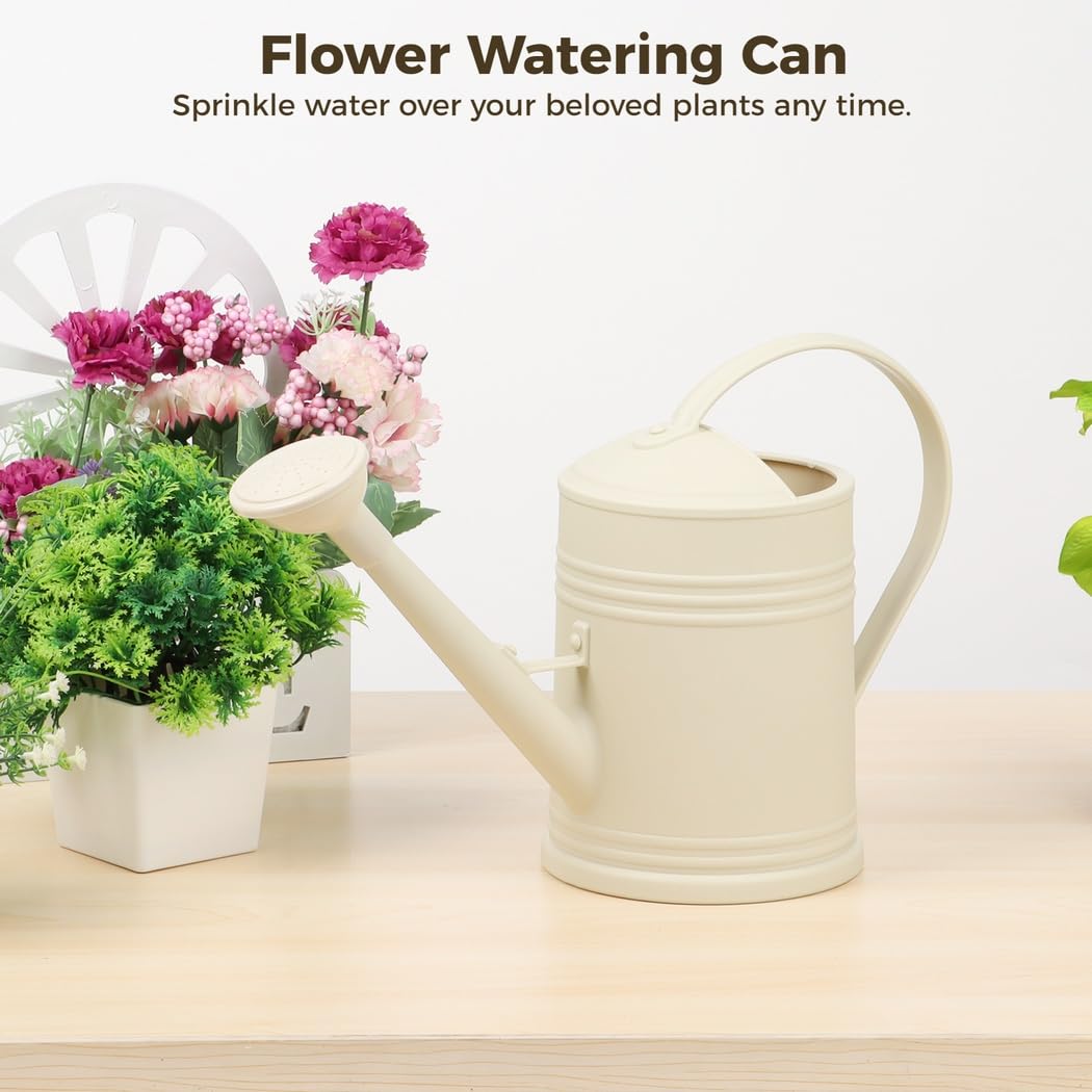 Gießkanne für Zimmerpflanzen, Blumentopf-Gießkanne mit abnehmbarem Brausekopf, kleine Gießkanne mit langem Ausguss, 1/2 Gallone, Elfenbein, leicht zu greifen, für Blumen und Kräuter