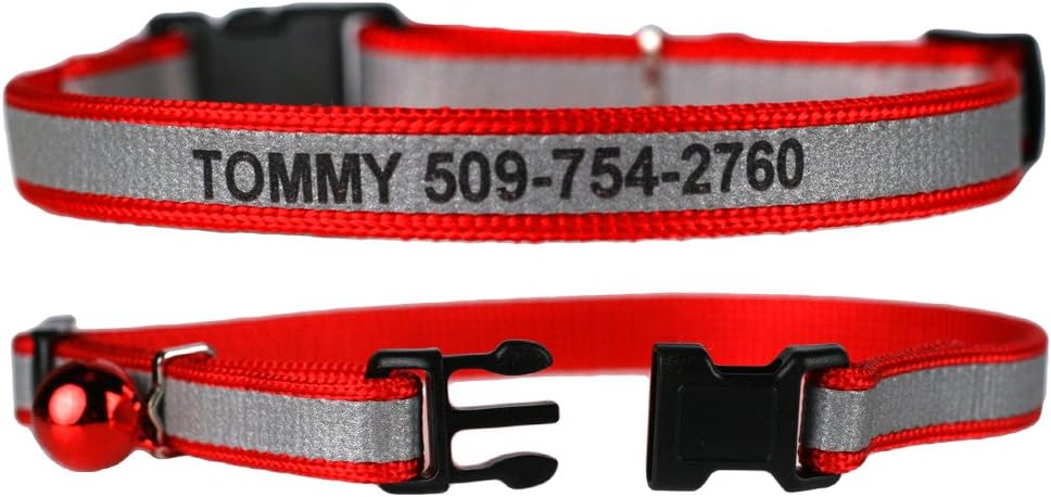 GoTags Personalized Reflective Cat Collars, Engraved Custom Cat Collar with Name and Phone, Breakaway Cat Collar with Safety Release Buckle and Bell, Adjustable for Cats and Kitten, (Pink)