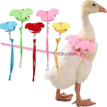 Cute Duck Outside Walking Harness Leash Adjustable Outdoor Training Traction Rope for Chicken Goose Hen Pink,Medium