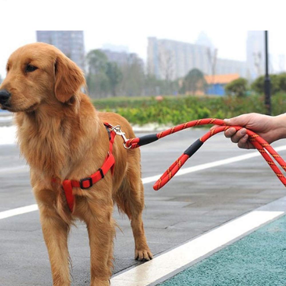 BAtlam Cadena para Mascotas Cuerda de tracción Cinturón de tracción Arnés para el Pecho Perro de tamaño Mediano Suministros para Mascotas Cuerda de tracción (Color : B) (A)