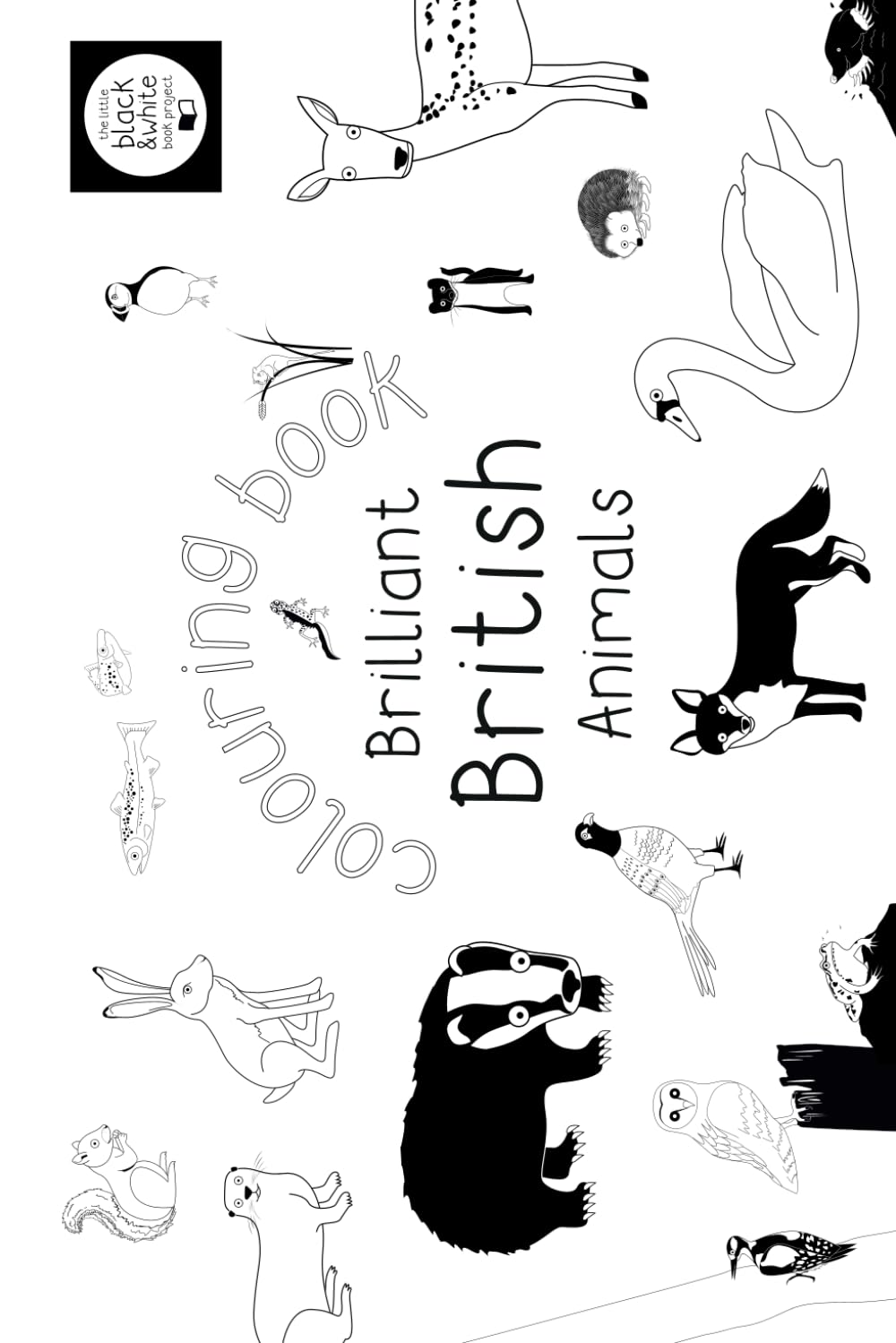 Brilliant British Animals: Colouring book