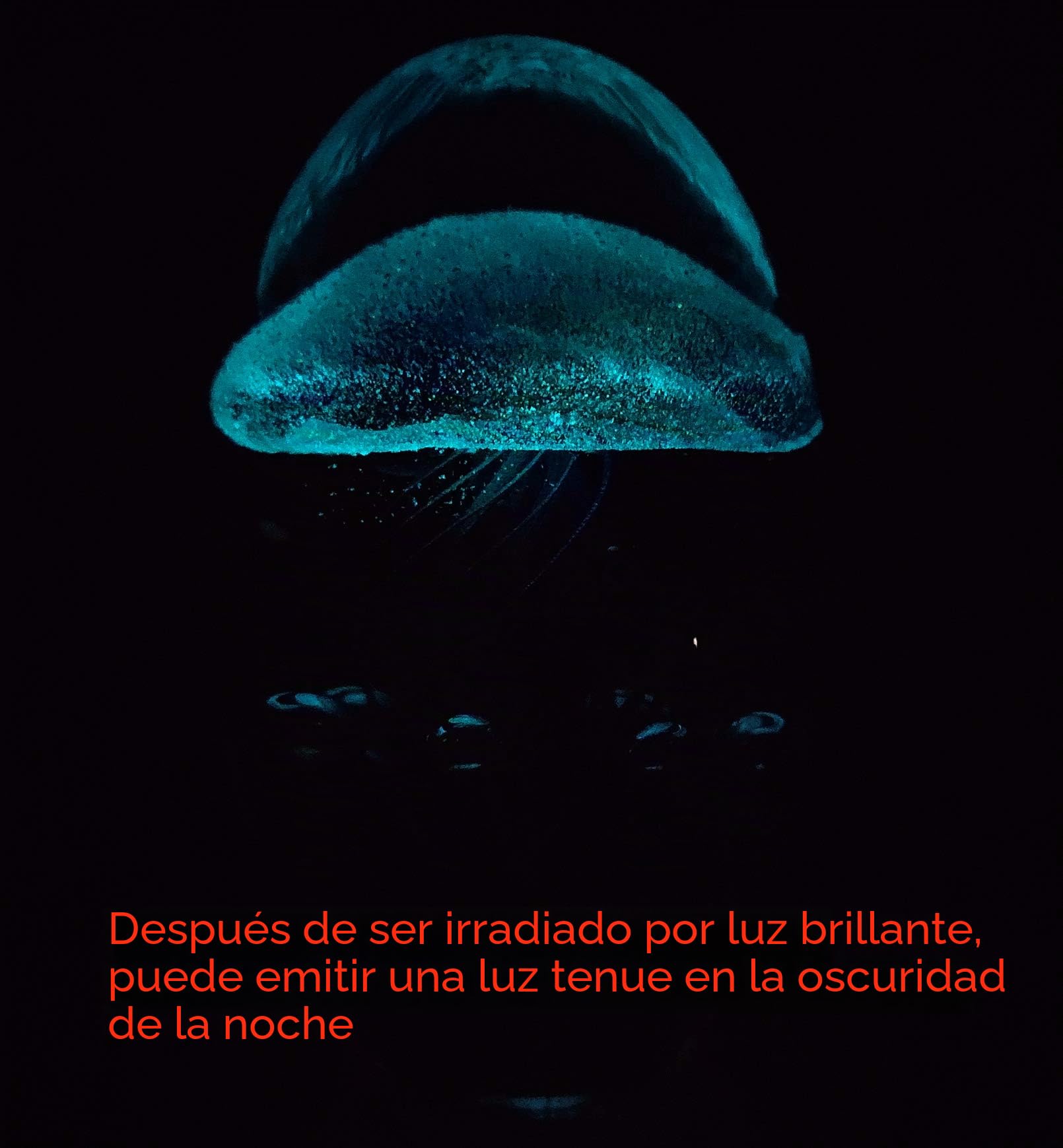 EUSTUMA Adorno de estatuilla de Medusas de Vidrio soplado a Mano, pisapapeles de Vidrio,colección de Animales Marinos para Regalo de cumpleaños, (Medusa Verde Azul 2)