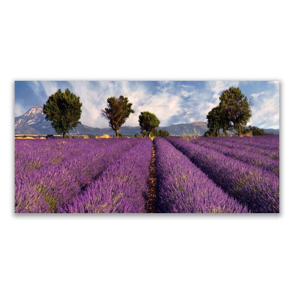 Tableau moderne incassable impression sur verre acrylique 140x70cm nature
