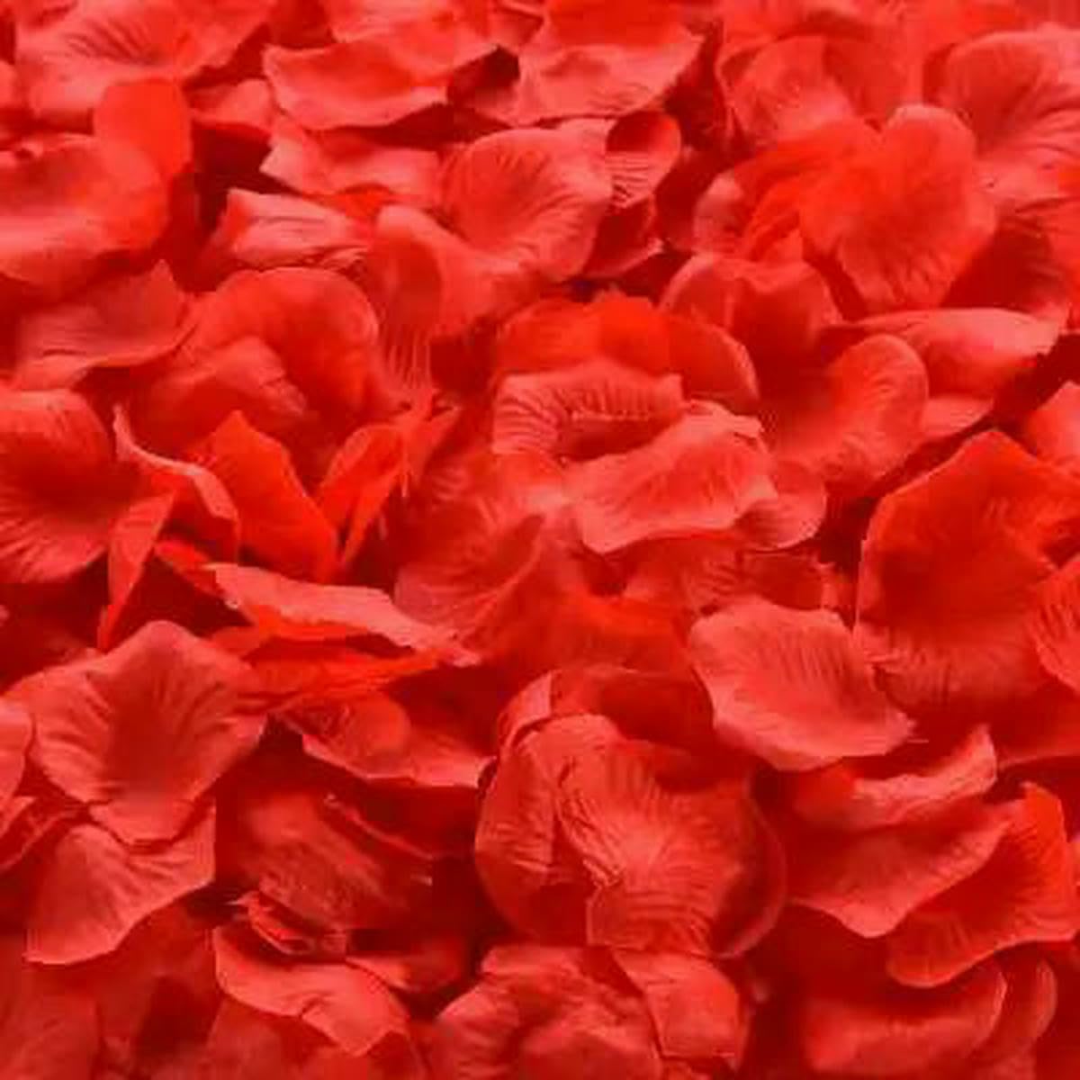 Pétalos de rosa seda artificiales rojos decorativos en varios tamaños para fiestas