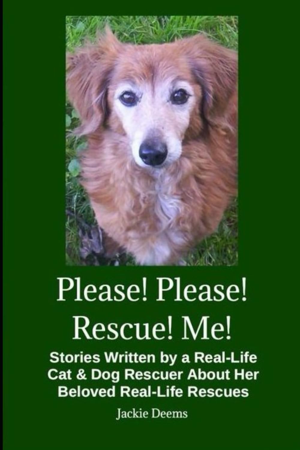 Please! Please! Rescue! Me!: Stories Written by a Real-Life Cat & Dog Rescuer About Her Beloved Rescues