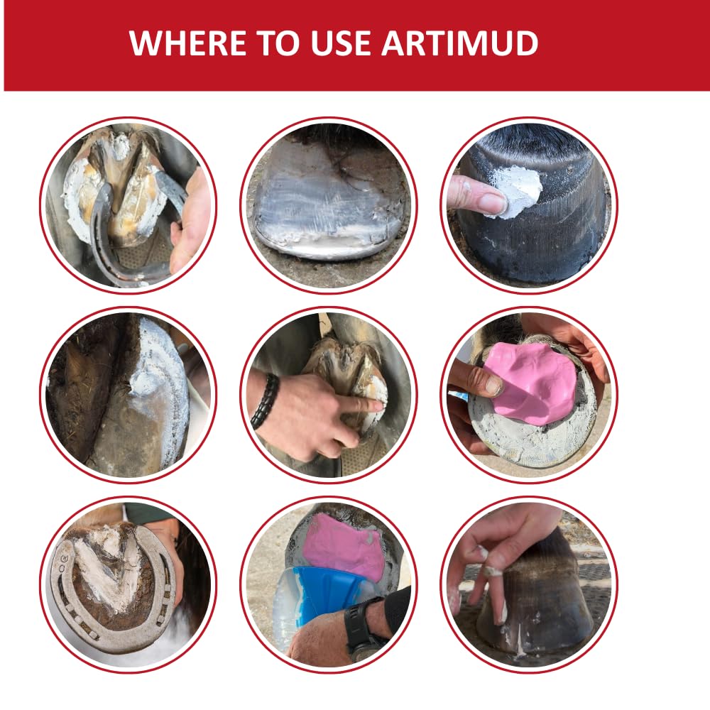 Artimud - Masilla activa para tordo de pezuña, 300 g, limpia y protege grietas y hendiduras, embalaje debajo del zapato/almohadilla, relleno de línea blanca, elimina la putrefacción, recomendado por