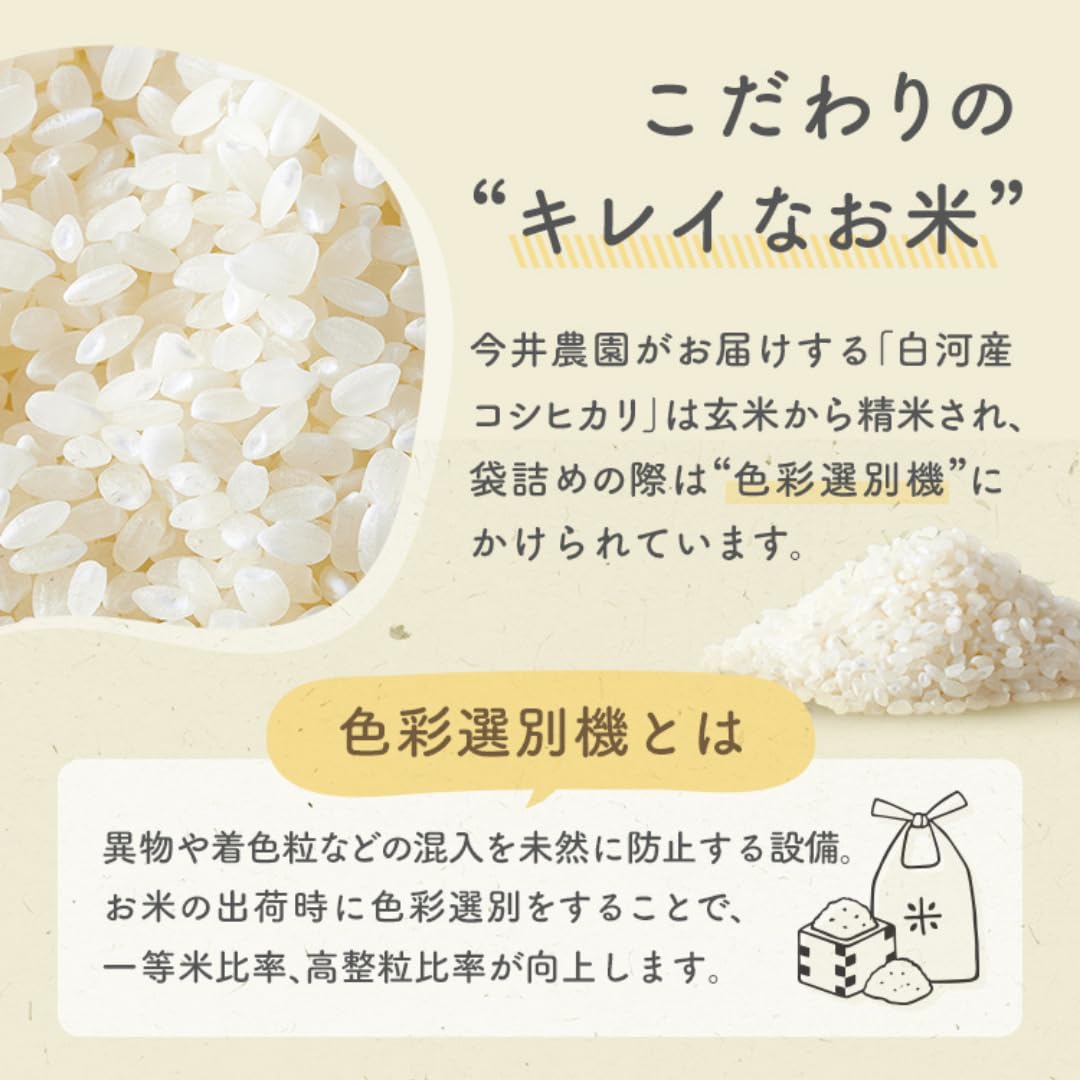 Amazon.co.jp: 【無洗米】 令和7年産 コシヒカリ 1合（150g×3個