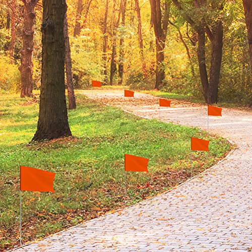 Zozen 100 Pack Markierungsfahnen für Rasen, 38 x 10 x 13 cm, Packung 100, Orange,Grün,Blaue Landschaftsfahnen, Bewässerungsflaggen, Rasenfahnen, Yard Marker, Geeignet für Distanzmessrad.