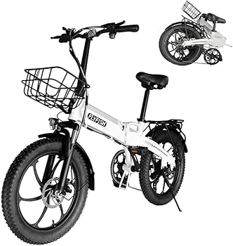 折り畳み式自転車  f Amazon | 折りたたみ 電動アシスト自転車 FLY FISH 型式認定 ファット