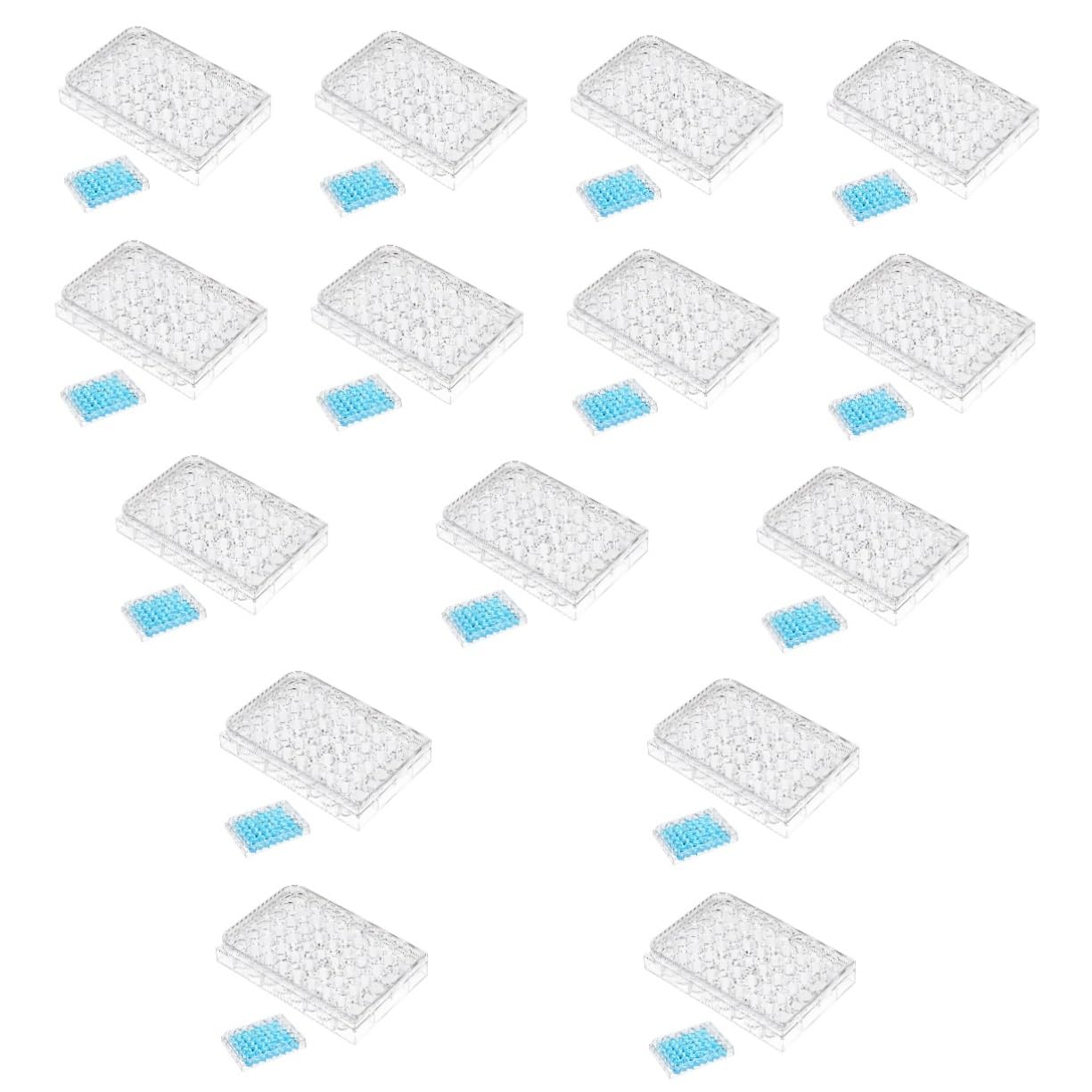 Gatuida Placa De Pocillos 15 Piezas De Cultivo Celular Plato Celúla Claro Propileno Junta De Cultivo Celular Microplacas Registro Poseedor Meseta Bandeja Para Capsulas Embudo 4k De Cultivo Para