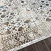 Persian-Rugs Luxe Weavers Rug 6495 Distressed Floral Area Rug
