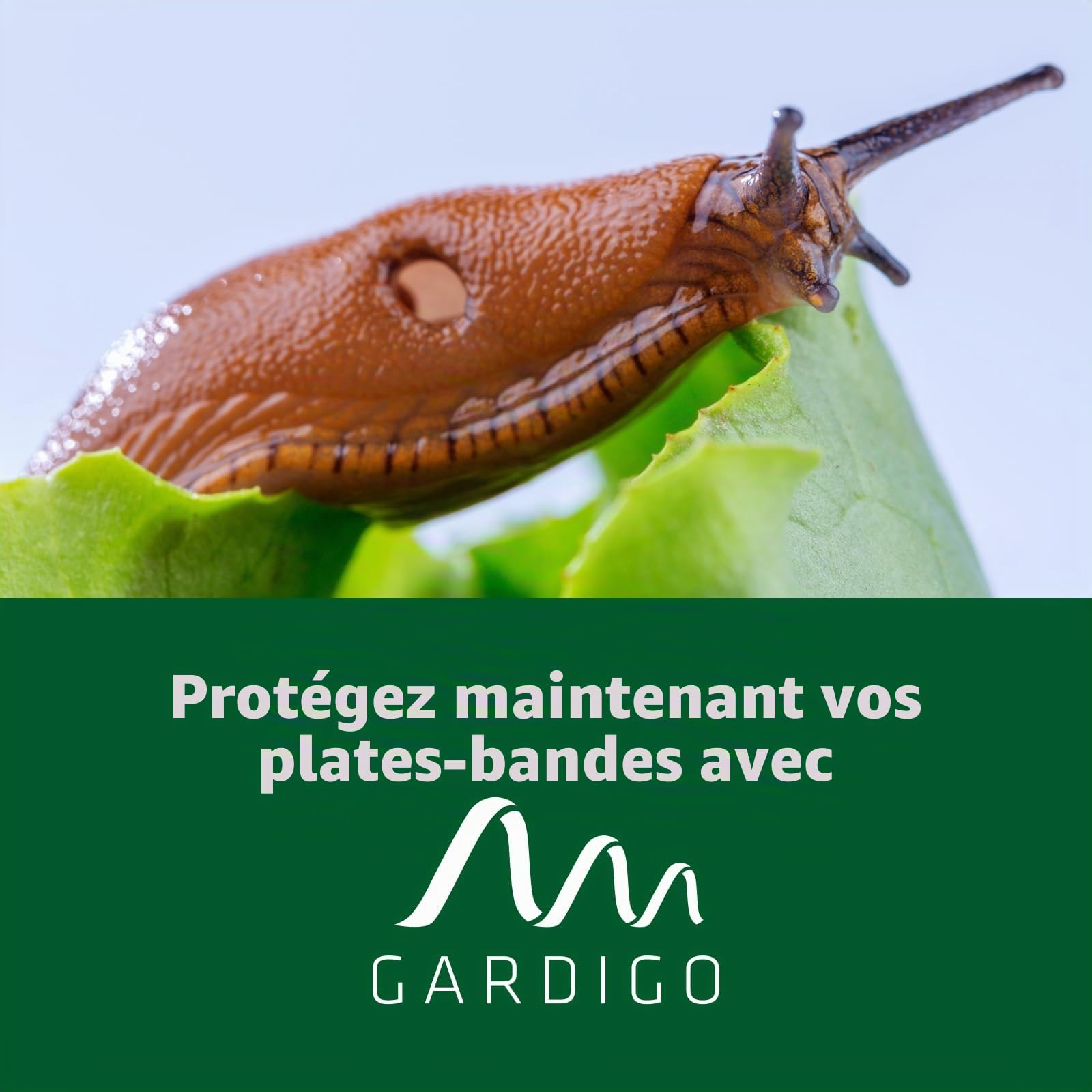 GARDIGO® Lot de 12 Pièges à Limaces et Escargots pour Jardin et Potager | Protection Plantes et Légumes | Réutilisable et Simple à Utiliser | Couleur Verte