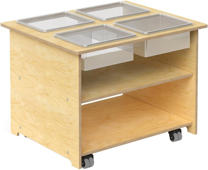 Whitney Brothers Mobile Sensory Table with Trays and Lids, Natural uv, 27x33x24.5 (WB1775)