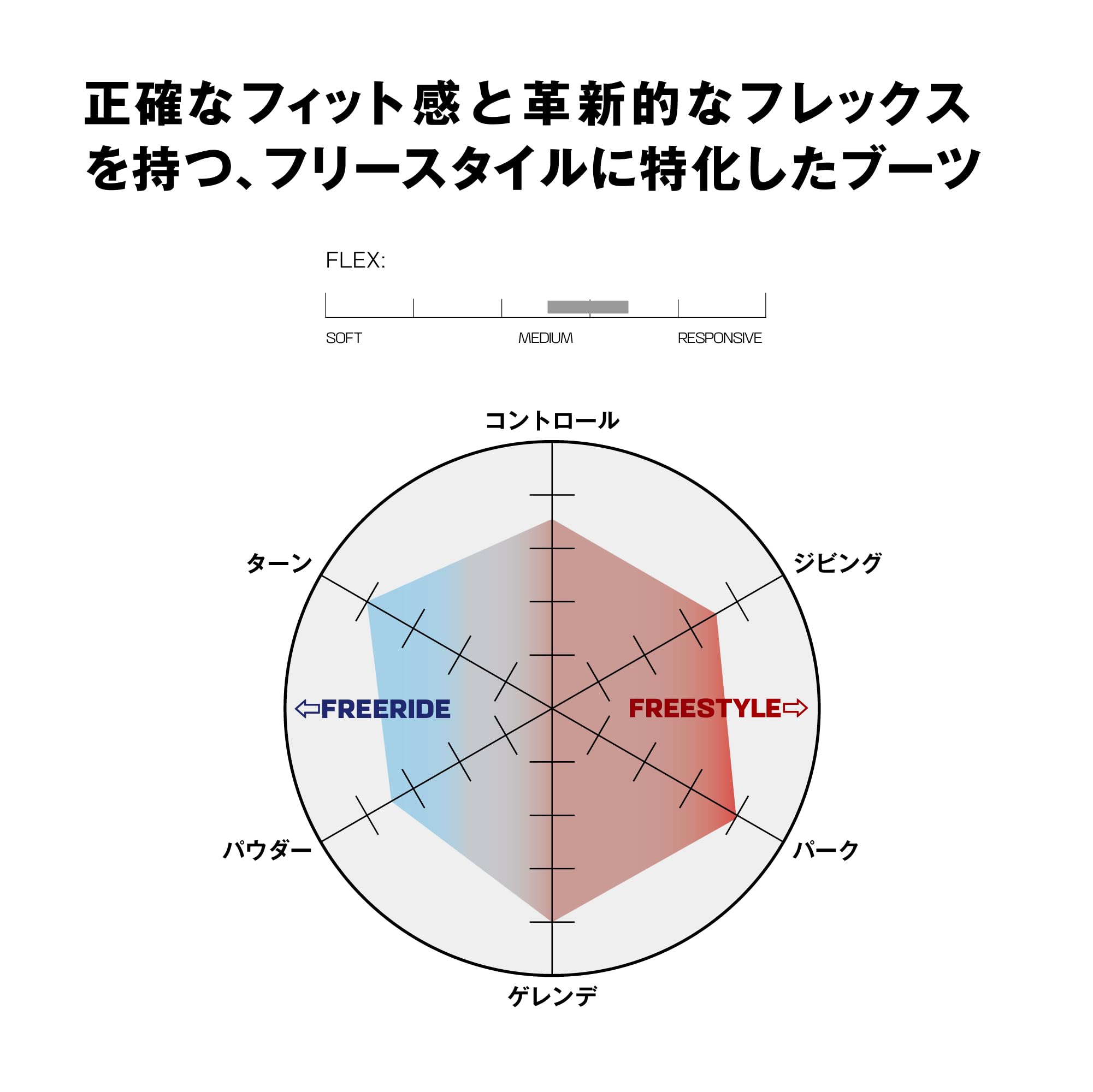Salomon Snowboard Boots DIALOGUE DUAL BOA TEAM 2024-25 Men's L47546400 28.0 Vaporous Gray/ANTARCTICA/Calypso Co