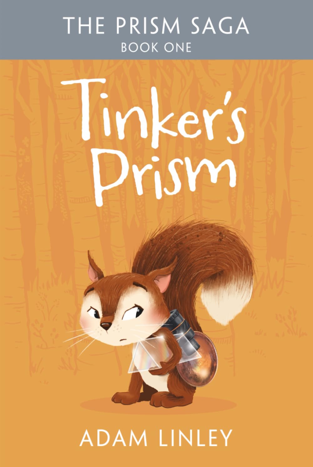 Tinker's Prism: The Prism Saga Book One