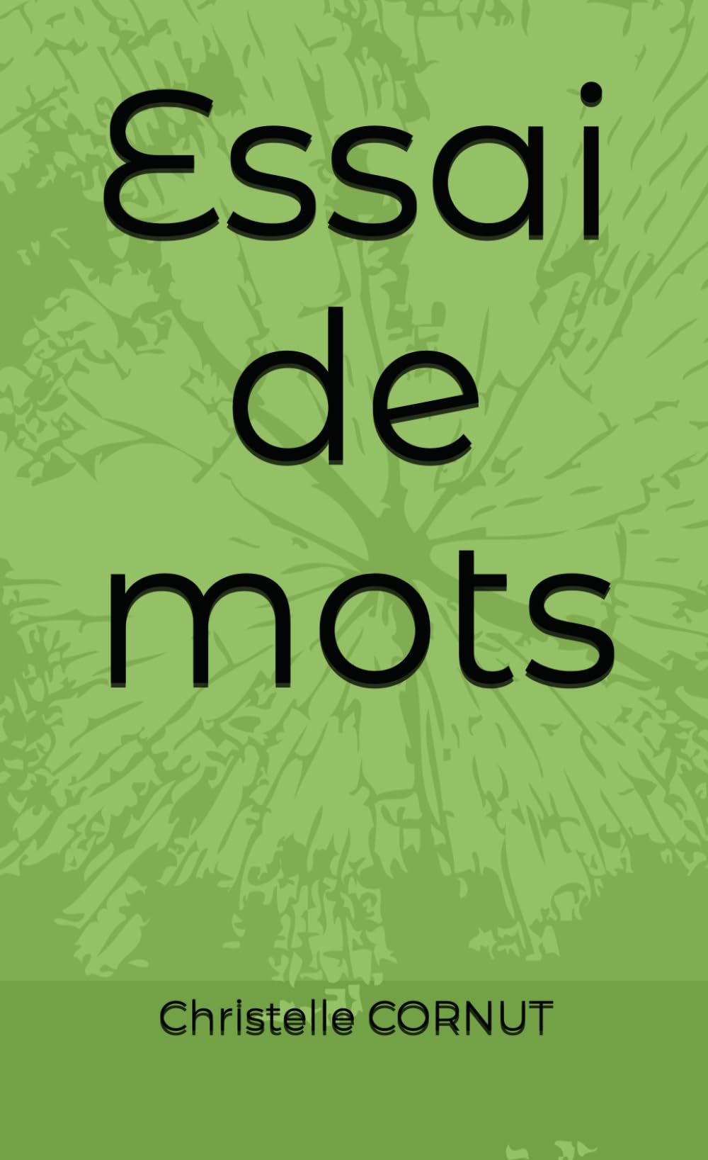Essai de mots
