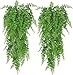 ASHINER 2 Pièces Plante Artificielle Fougère de Boston Plantes, Fausse Mur Végétal Artificiel Tombante, la Maison et la Décoration Extérieur de Mariage Déco