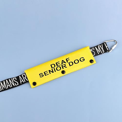 Miniatura 3 de Correa para perro con discapacidad auditiva para perros sordos mayores para perros con necesidades especiales (funda YE para perro sordo mayor)