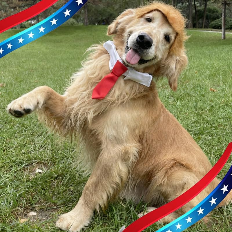 Disfraz para Mascotas Peluca Rubia con Corbata Talla S miniatura 6