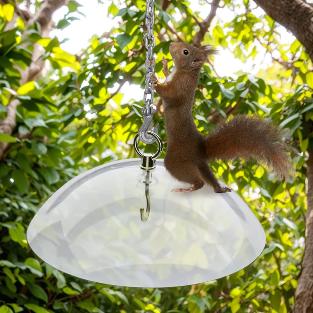 Deflector de ardilla para comederos de pájaros, 26 cm, protector de clima transparente, instalación sin herramientas, deflector de plástico resistente a la intemperie para proteger los comederos