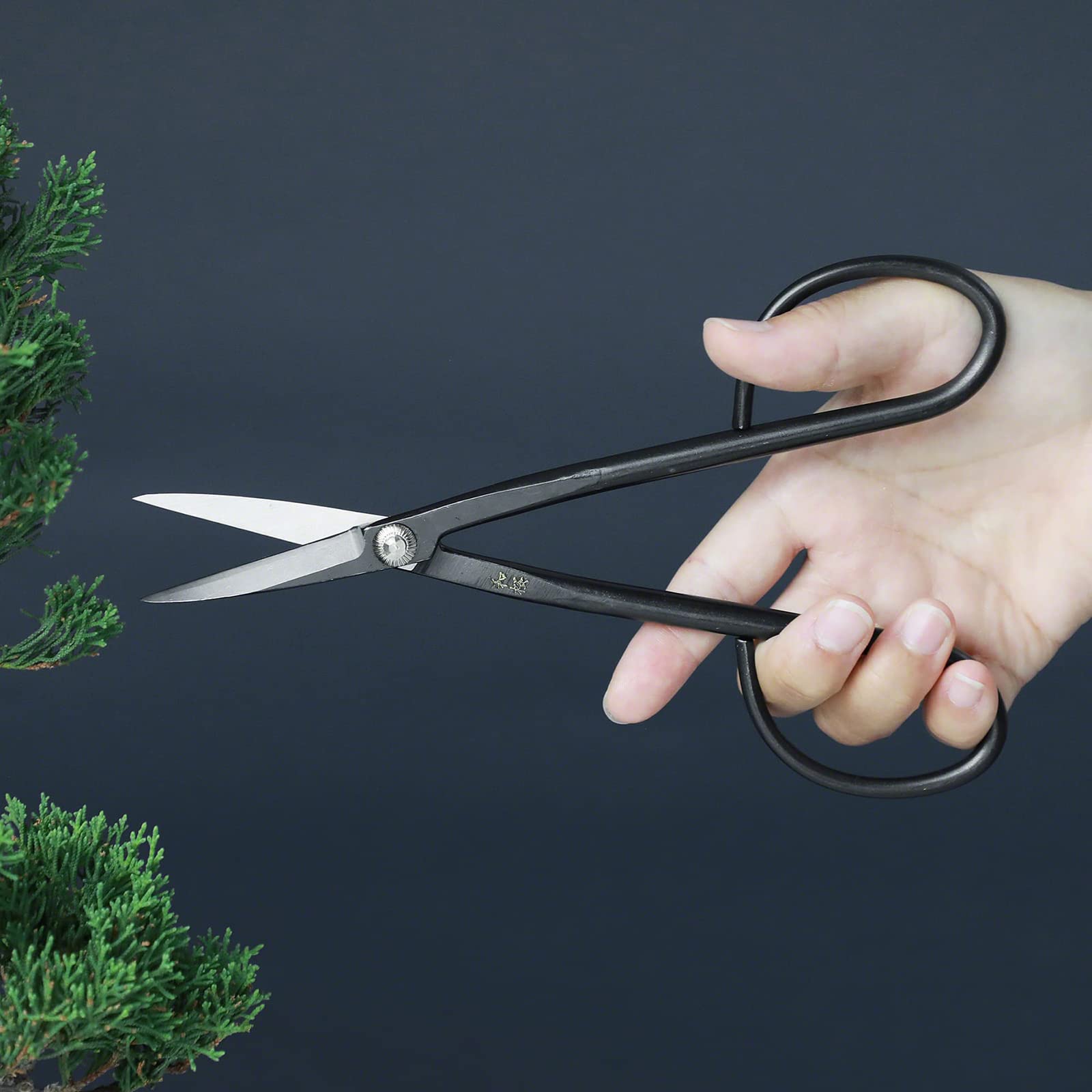 Wazakura Bonsai Schere - Twig Modell, Yasugi Stahl, 21 cm, Made in Japan - Schere zum Trimmen von Ästen, Blättern, Wurzeln und Trieben