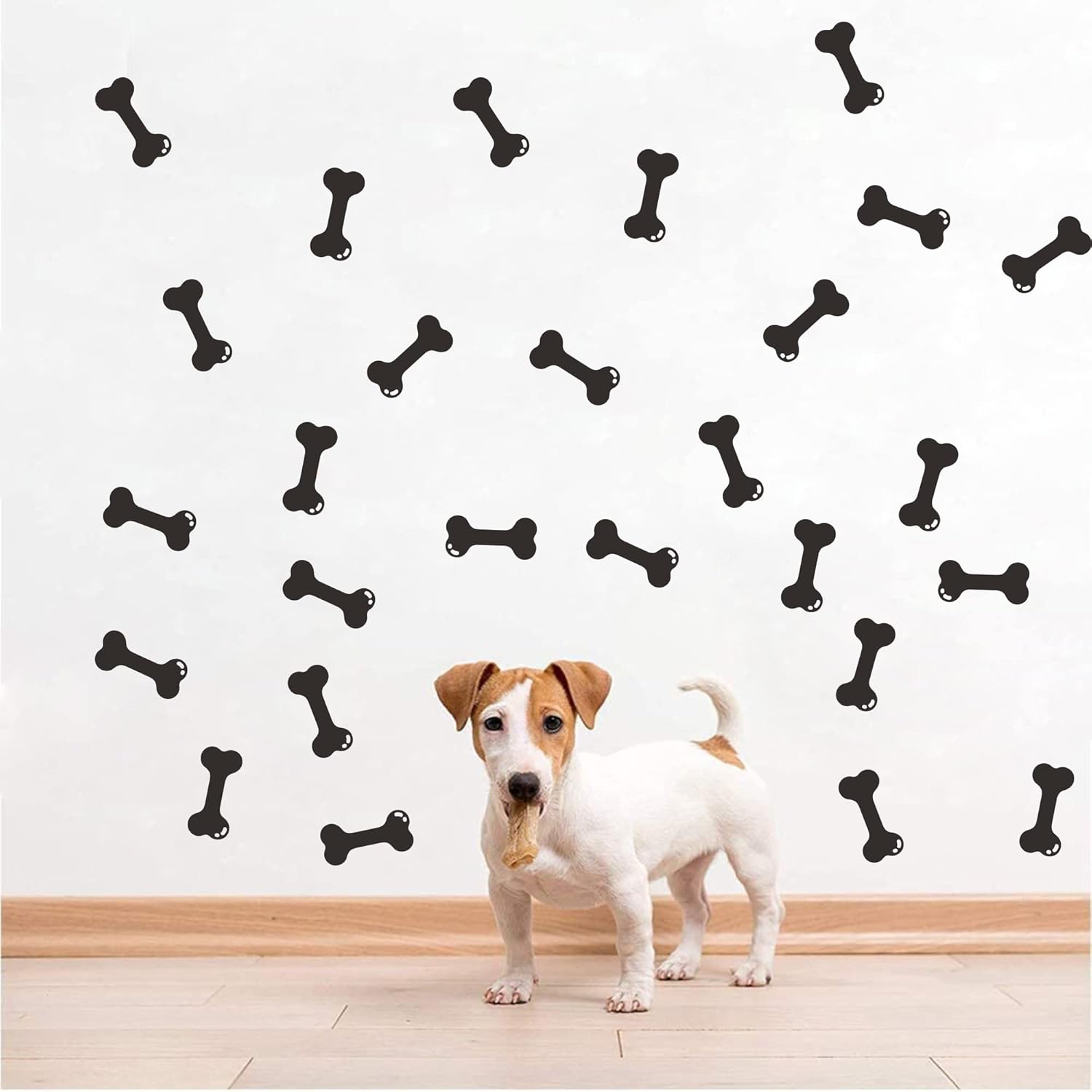 Adhesivos y Murales para Pared