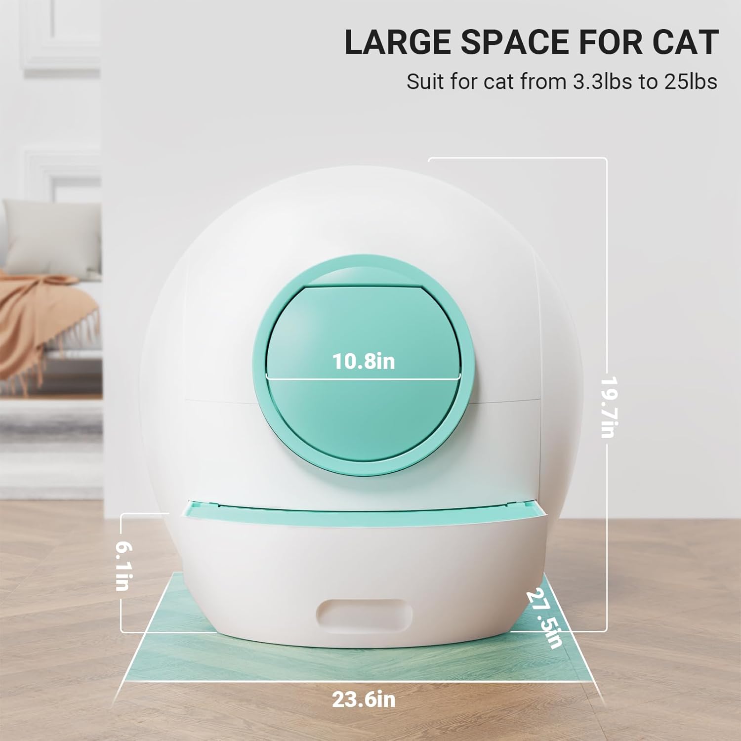 https://m.media-amazon.com/images/I/61rvfow6H1L._AC_SL1500_.jpg