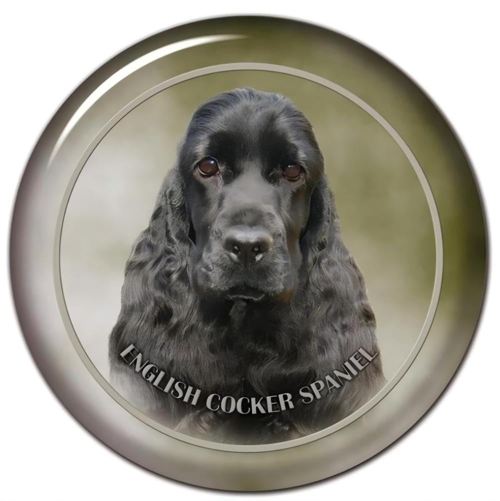 English Cocker Spaniel Aufkleber, Wasserfest Reflektierend, Lustige Aufkleber für Laptop, Kühlschrank, Auto, Stoßstange und Fenster (22cm/8.7 Inch)