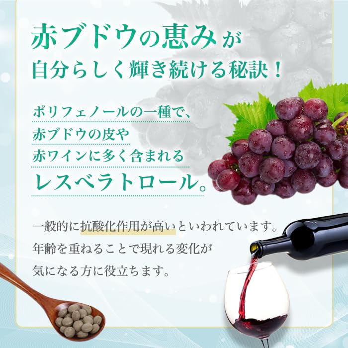 銀座まるかん ゴッドハート レスベラトロール93粒