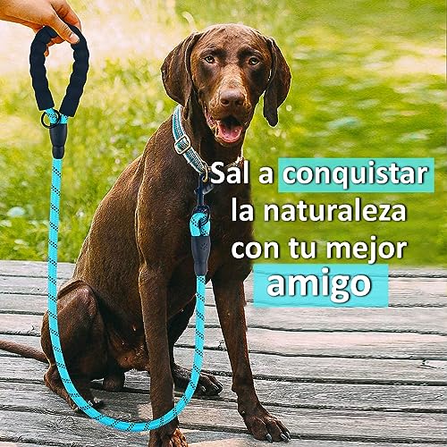 La mejor comparación de Correas para perros , listamos los 10 mejores. 26 Imagen adicional
