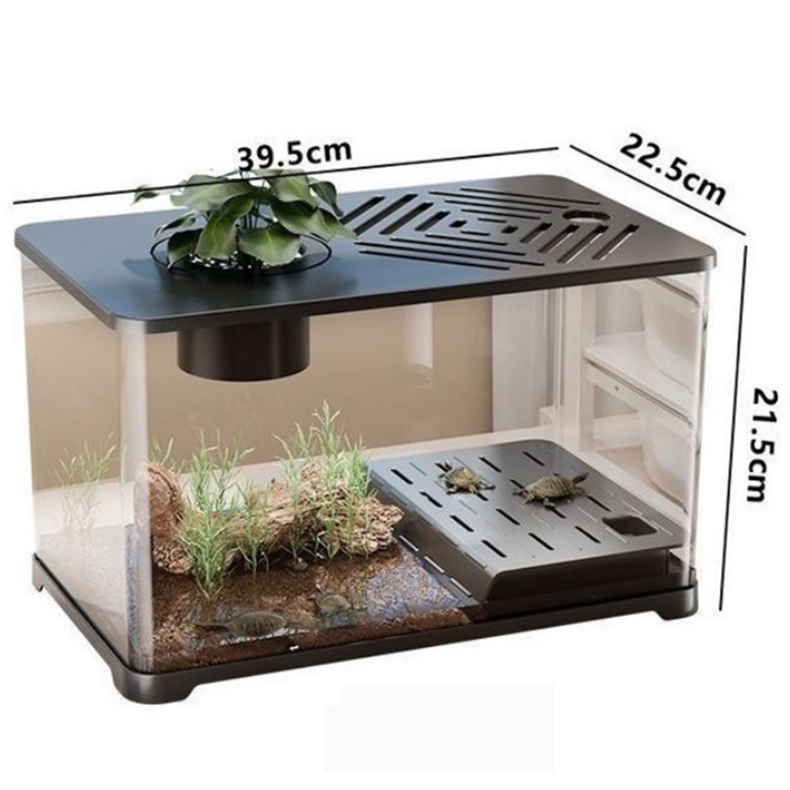Siedlisko terrarium Ekologiczne zagospodarowanie terenu w zbiorniku do hodowli żółwi z pokrywą, małą separacją na sucho i mokro Terrarium akwariowe(Czarny)