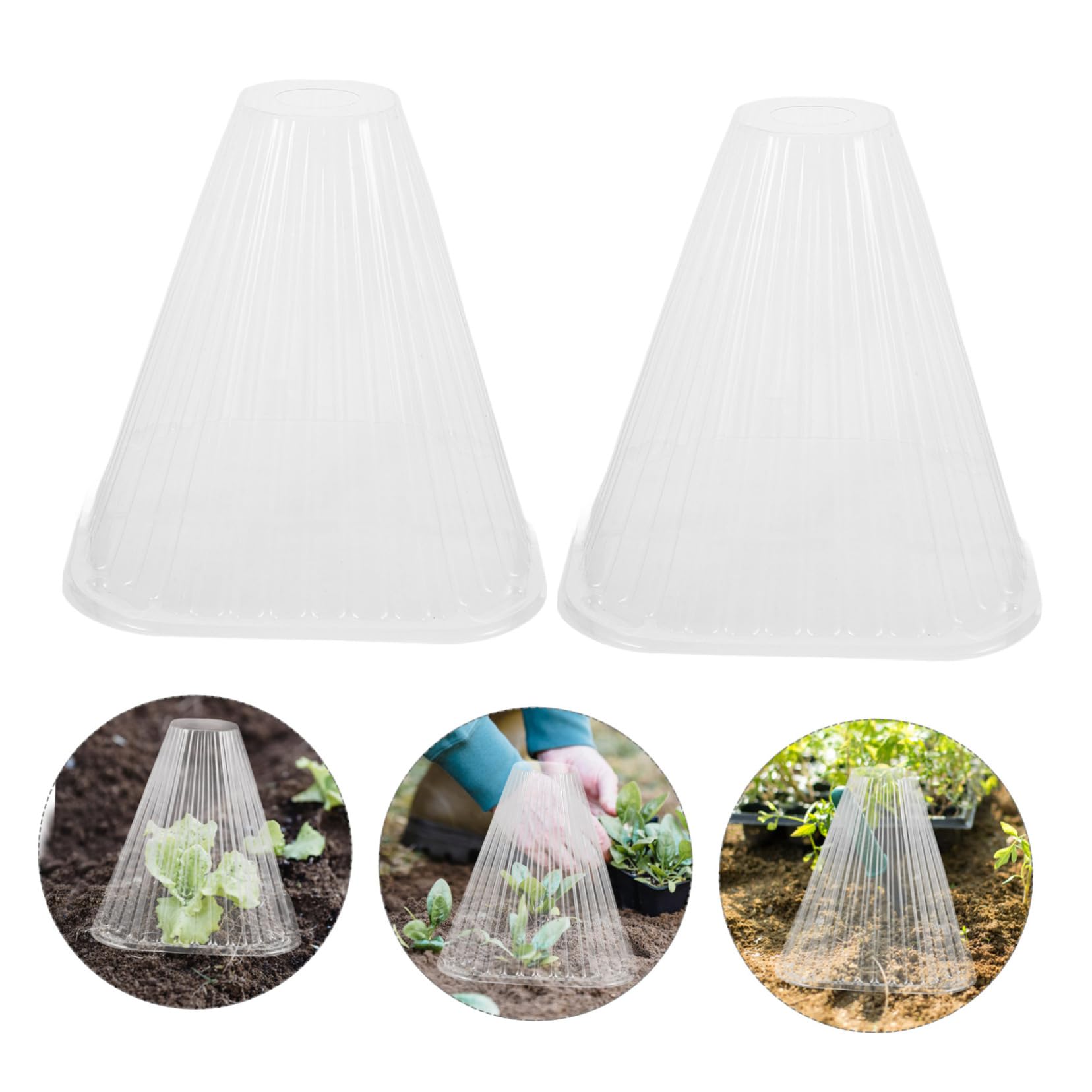 Cloche Conique pour Plantes 10 Pièces Pet, Protection Semis et Ombrage