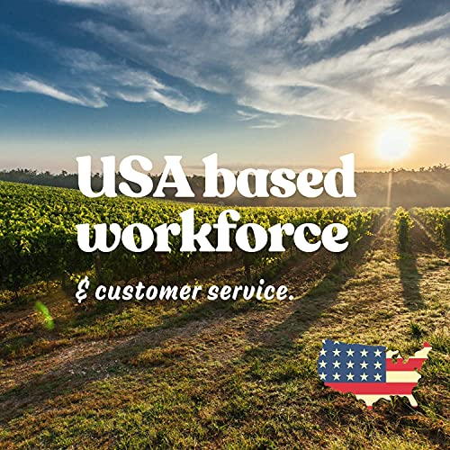 Large Leaf Sorrel Herb Seeds For Planting - 1 Gram 500+ Seeds - Non-Gmo, Heirloom - Culinary Sorrel Herb Plant Seeds - Home Garden Herb Seeds - Sealed In A Beautiful Mylar Package #TOP6