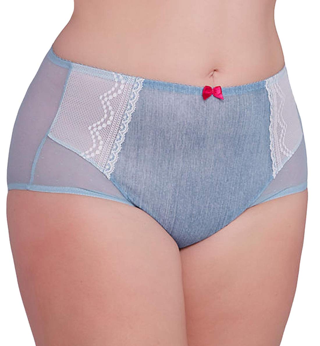 Sculptresse by PanacheWomen's Plus-Size Misty Brief, Denim, 26