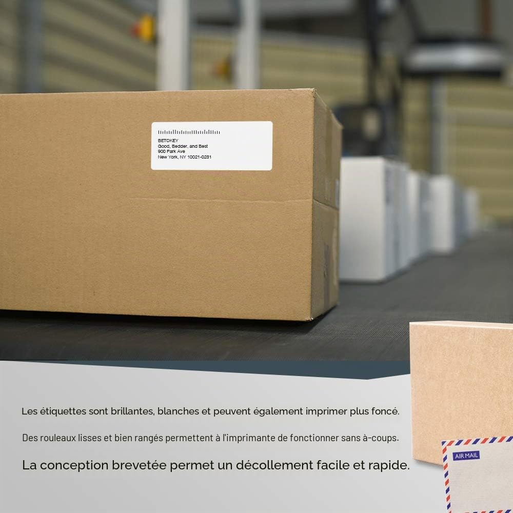 BETCKEY - 10 Rouleaux 99012 Étiquettes Compatible avec DYMO S0722400, 36mm x 89mm, 2600 Étiquettes dAdresse Pour DYMO LabelWriter 450, 4XL, NON Pour 550 ou 5XL