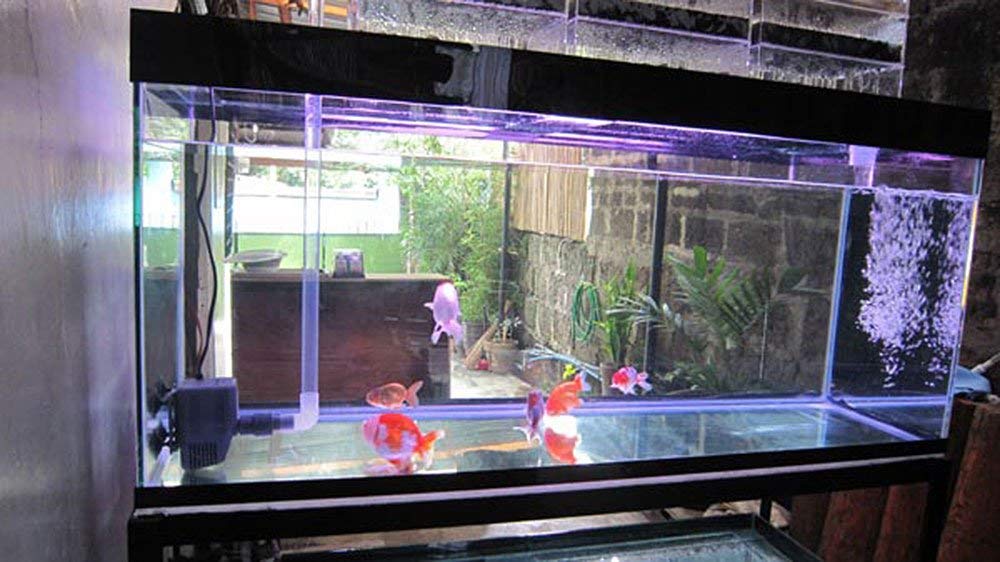 ae-shop aquarium filter fish tank upper trickle box filters system AE-SHOP Aquarium Filter Fish Tank Upper Trickle Box Filters System :  Amazon.com.mx: Productos para animales
