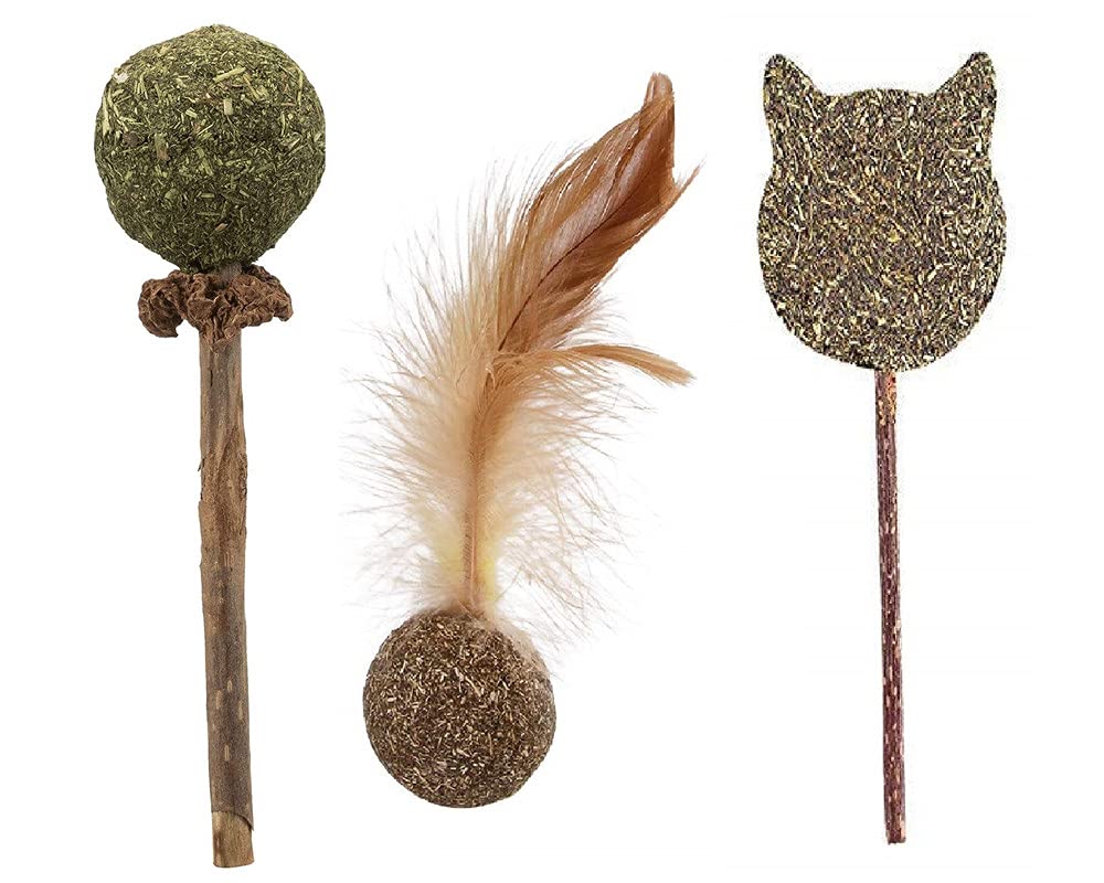 Pet Guard 3pcs Cat Wand with Catnip Cat Teaser Toys Chewing Toy Molar Toy Cat Chasing Toy Teeth Cleaning Dental Toy Cat Treats Interactive Cat Toys for Cat (B09D4471FP) Amazon Price History, Amazon Price Tracker