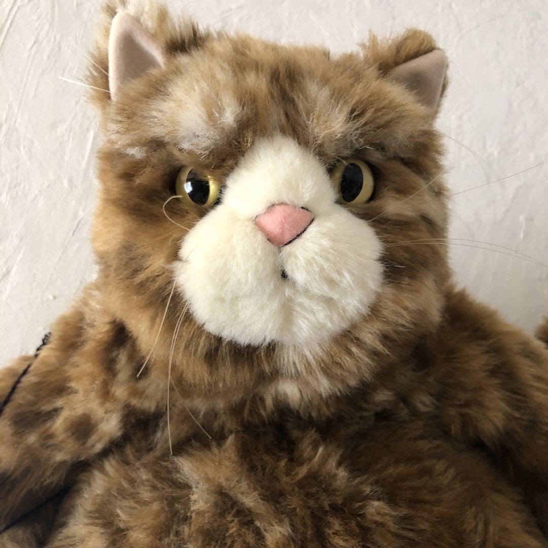 Amazon.co.jp: カドリーCuddly ムッシュ Muche 猫ぬいぐるみ : おもちゃ