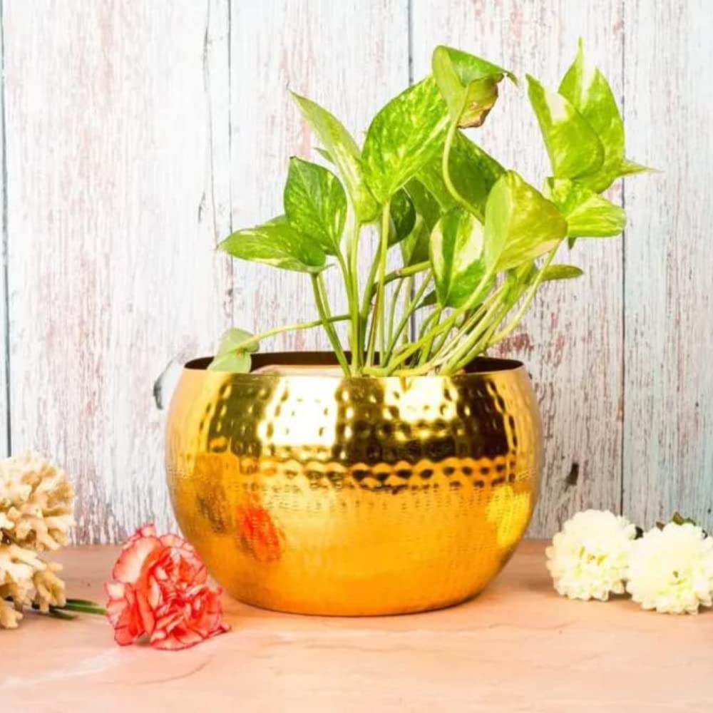 See full amazon price history chart for AD ARTS Designer Table Top Flower Pots Aluminium with Brass Electroplating Planters for Indoor & Outdoor Decoration AD ARTS Designer Table Top Flower Pots Aluminium with Brass Electroplating Planters for Indoor & Outdoor Decoration (B09W9SSKC9) Amazon Price History, Amazon Price Tracker