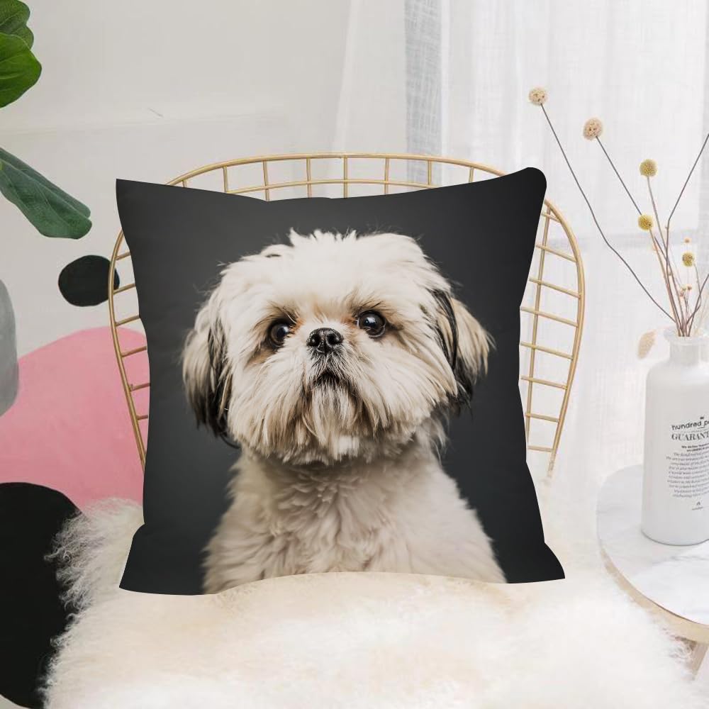 Hyosxw Shih Tzu In Studio With Dark Background - A8 Cushion Cover,Throw Pillow Case Home Decorative For Living Room Bedroom Sofa Chair 18X18 Inch,Shih Tzu In Studio With Dark Background,Pillowcase 45X45cm